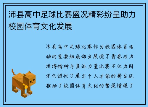 沛县高中足球比赛盛况精彩纷呈助力校园体育文化发展