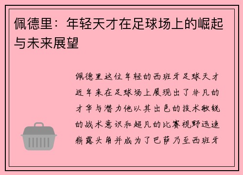 佩德里：年轻天才在足球场上的崛起与未来展望