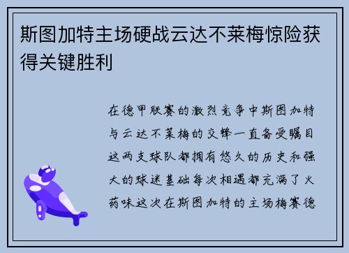 斯图加特主场硬战云达不莱梅惊险获得关键胜利